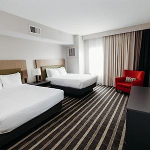 One-Bedroom Queen Suite
